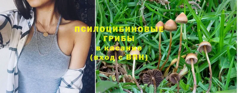 Псилоцибиновые грибы MAGIC MUSHROOMS  Воронеж 